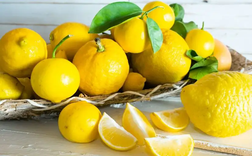 Früchte, die Limonen enthalten