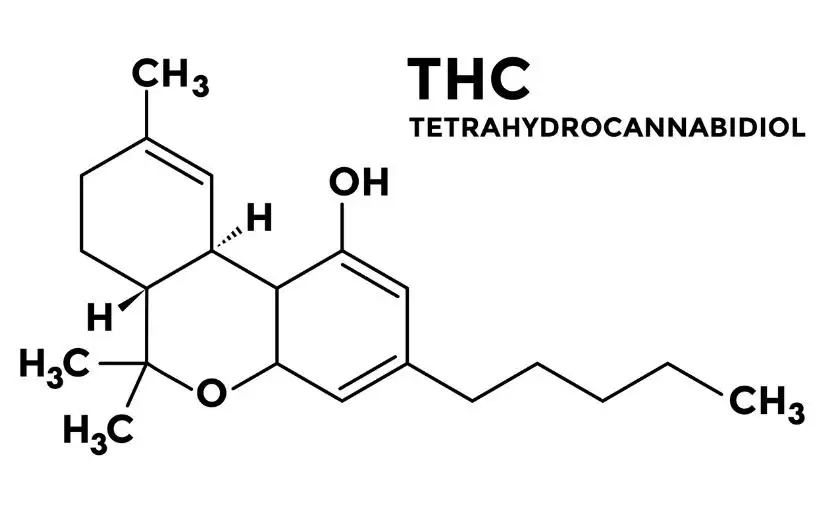 Tetrahydrocannabinol: chemische Formel