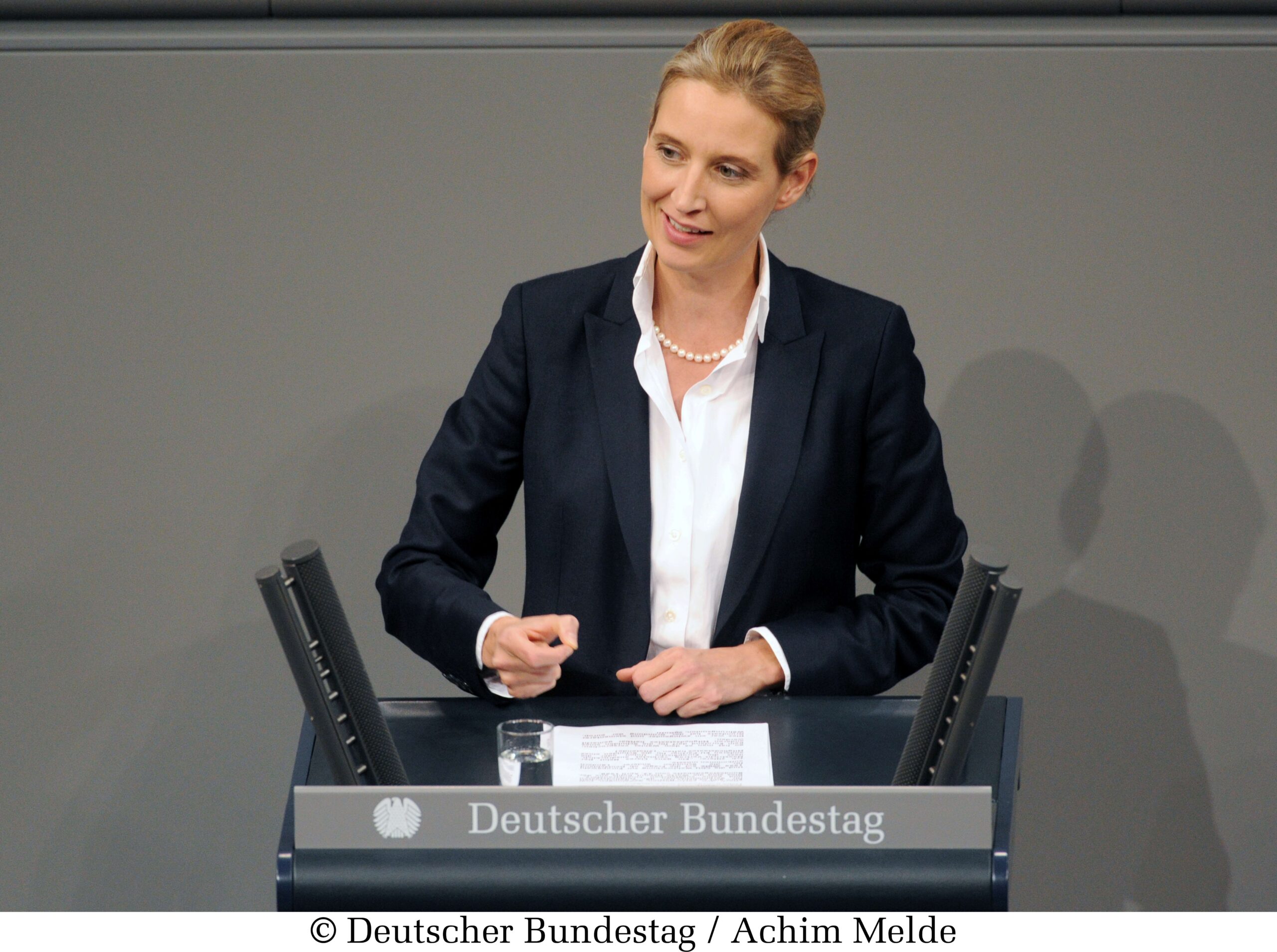 Alice Weidel (AfD)